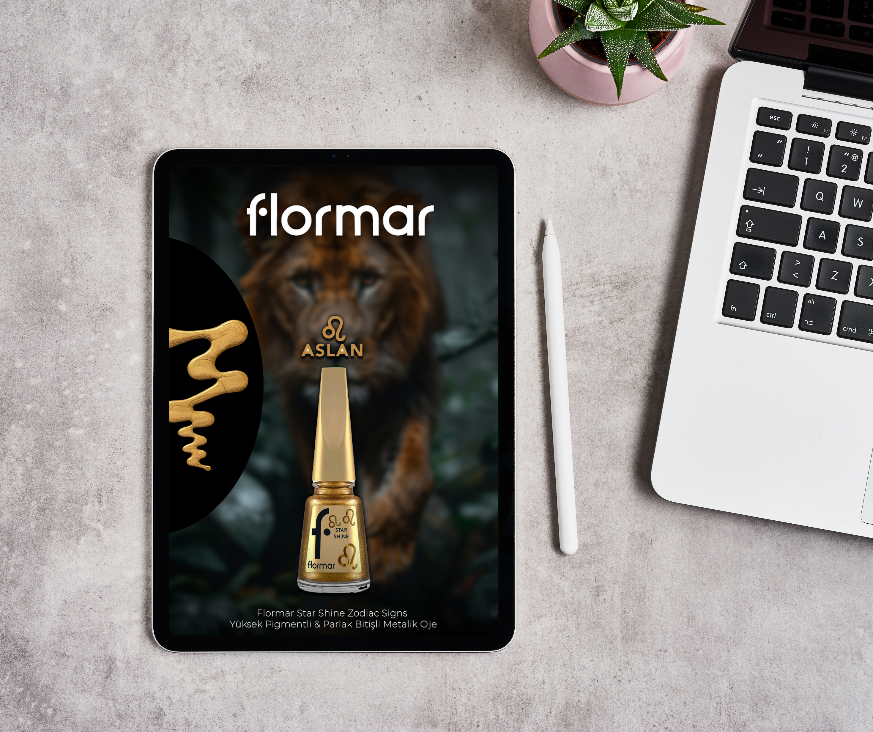 Brand Identity Mockup
